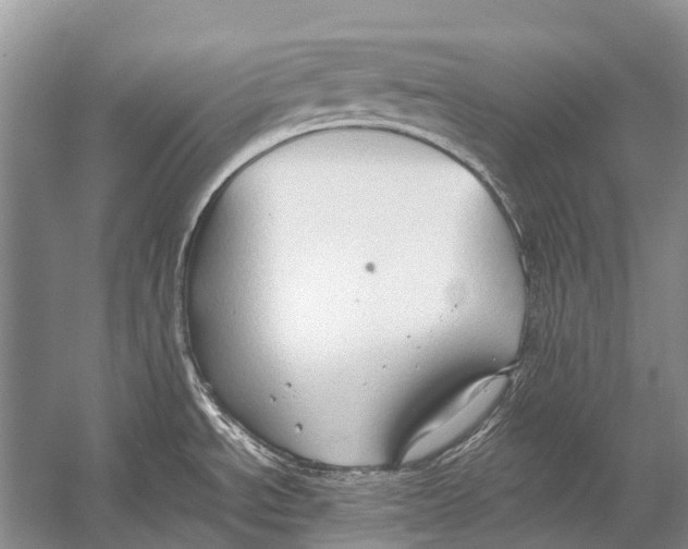 X0000054371534200508262328