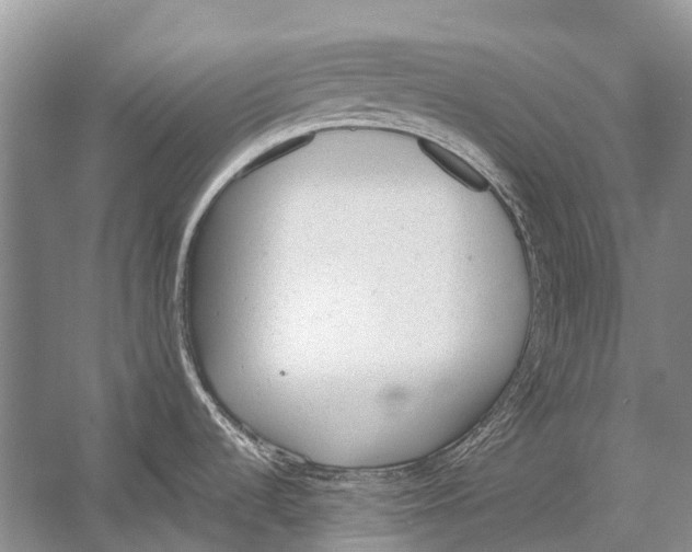 X0000054371536200508262328