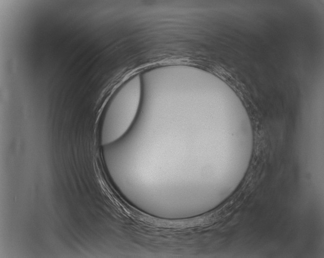 X0000054380002200507290909