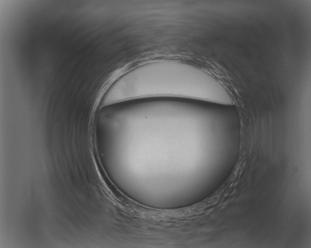 X0000054380003200507290909