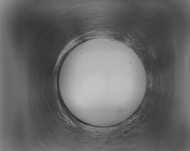 X0000054380004200507290909