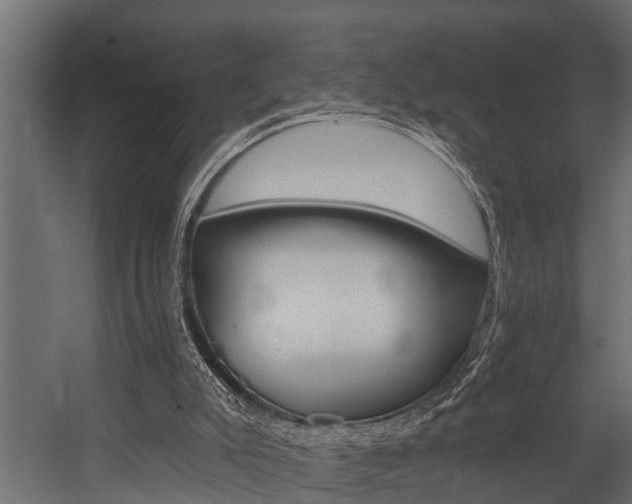 X0000054380007200507290909