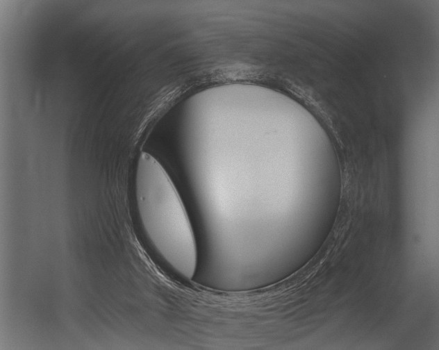 X0000054380010200507290909