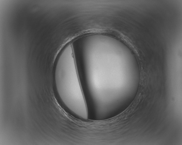 X0000054380011200507290909