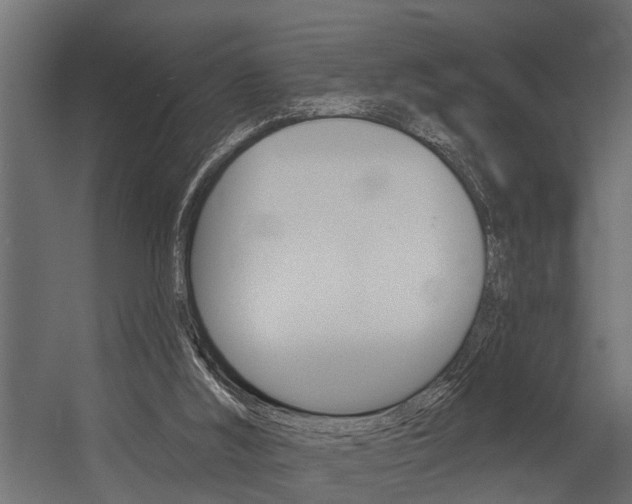 X0000054380012200507290909