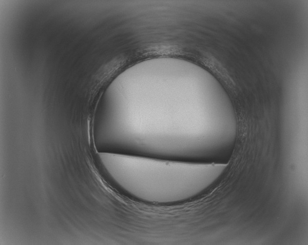 X0000054380014200507290909