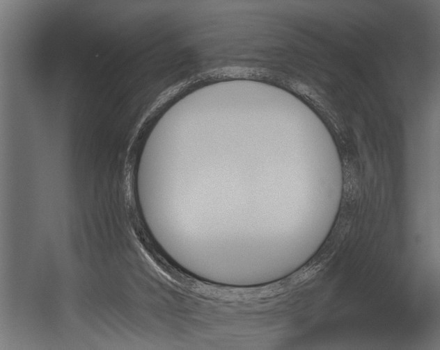 X0000054380016200507290909