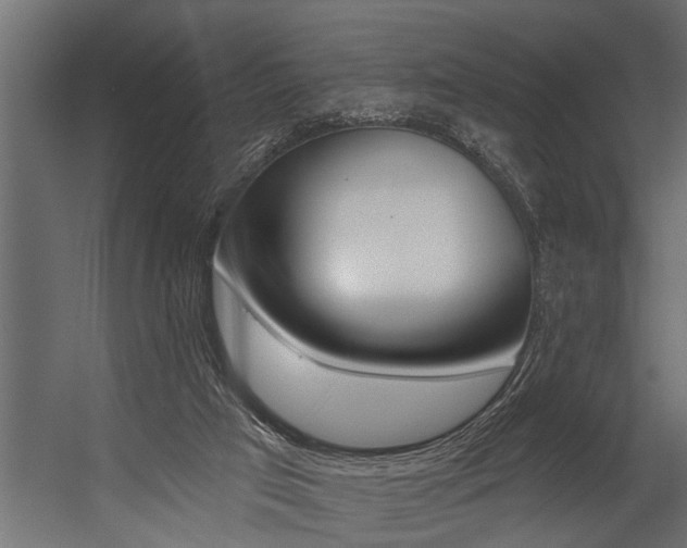 X0000054380017200507290909