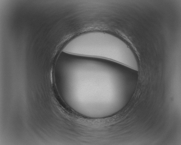 X0000054380019200507290909