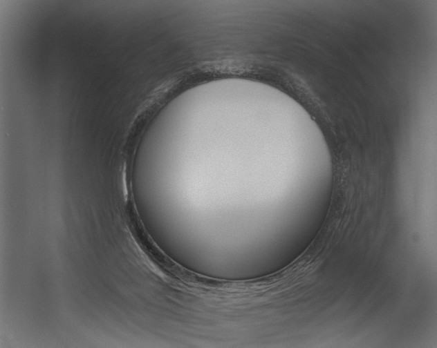 X0000054380020200507290909
