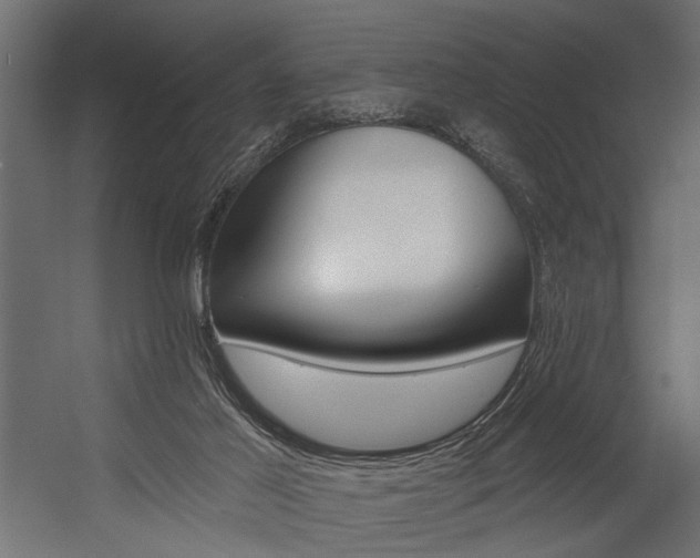X0000054380021200507290909