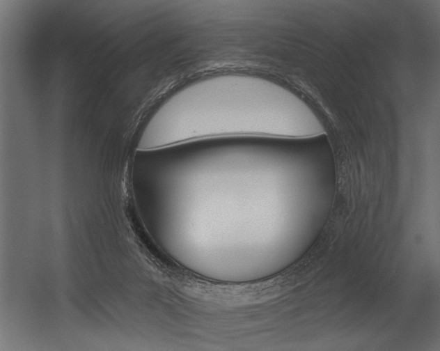 X0000054380023200507290908