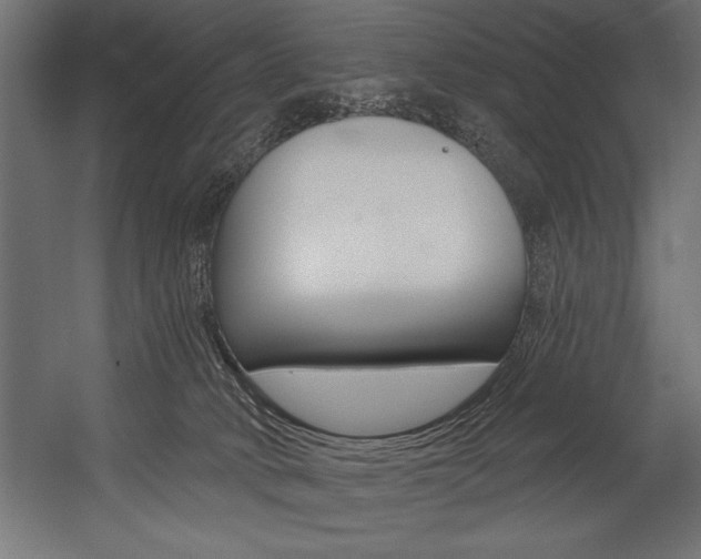 X0000054380034200507290908