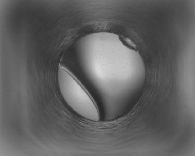 X0000054380035200507290908
