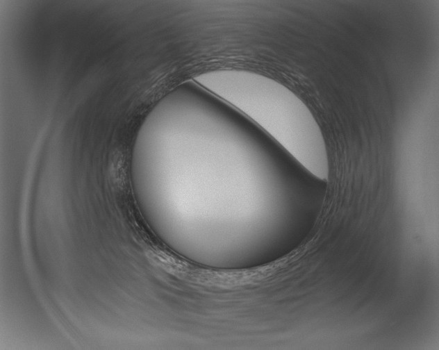 X0000054380037200507290908