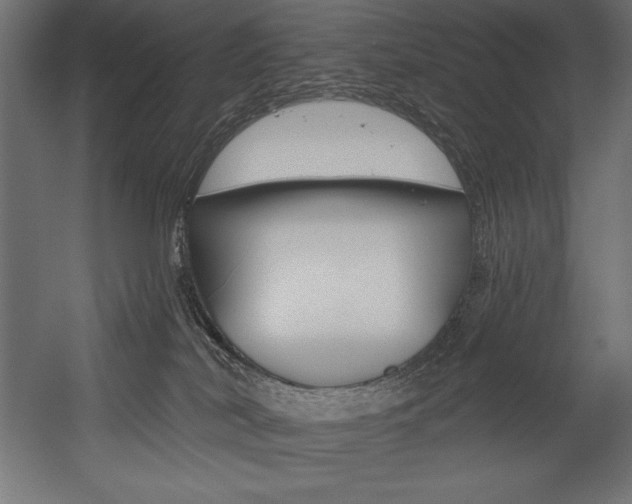 X0000054380038200507290908