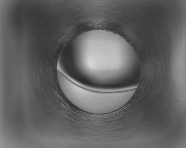 X0000054380039200507290908
