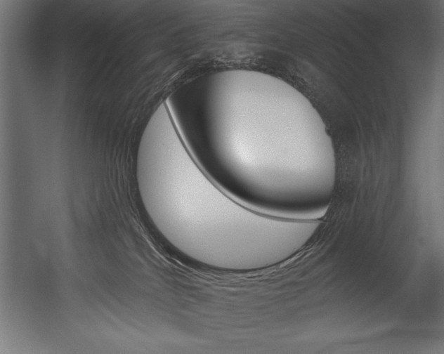 X0000054380040200507290908