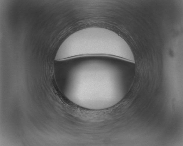 X0000054380044200507290908