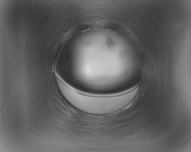 X0000054380045200507290908