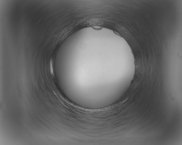 X0000054380046200507290908
