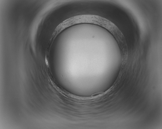 X0000054380047200507290908
