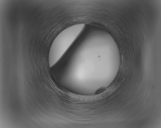 X0000054380048200507290908