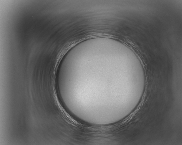 X0000054380049200507290907