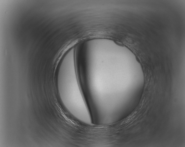 X0000054380050200507290907