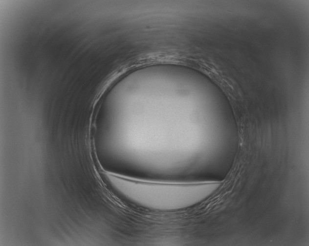 X0000054380052200507290907