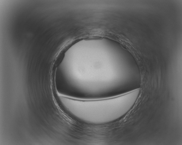 X0000054380054200507290907