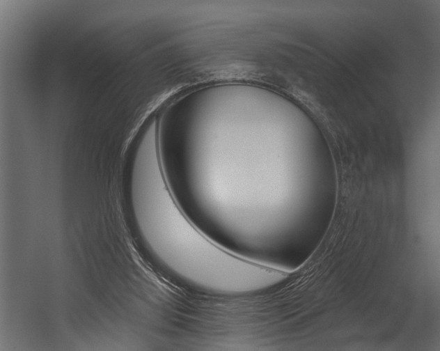 X0000054380060200507290907