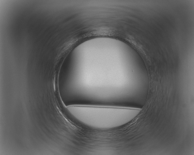 X0000054380062200507290907