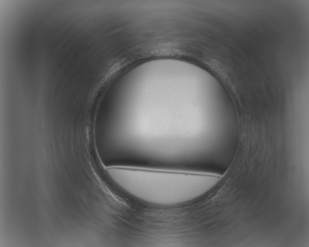 X0000054380063200507290907