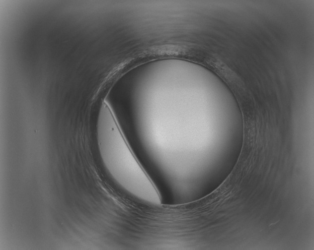 X0000054380064200507290908