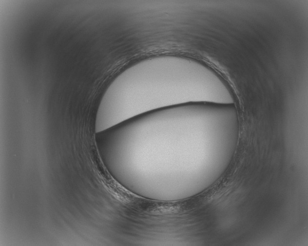 X0000054380065200507290908