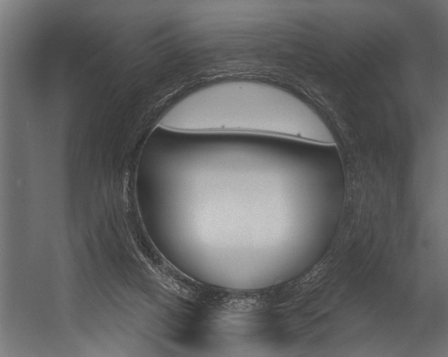 X0000054380066200507290908