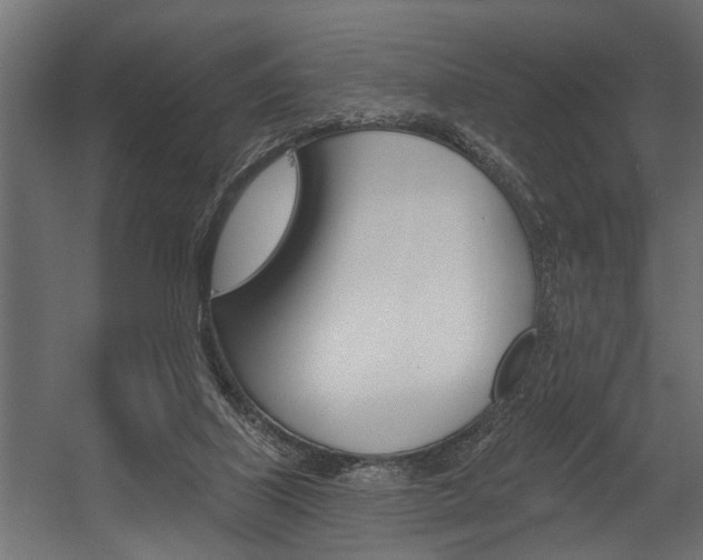 X0000054380067200507290908