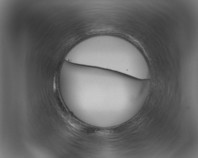 X0000054380069200507290908