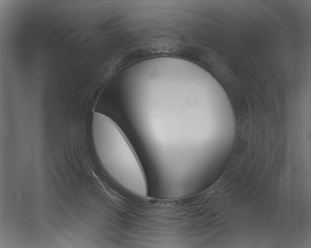 X0000054380070200507290908