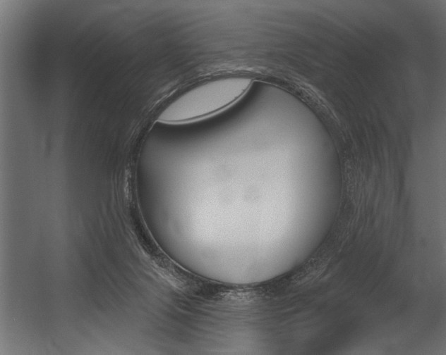 X0000054380071200507290908