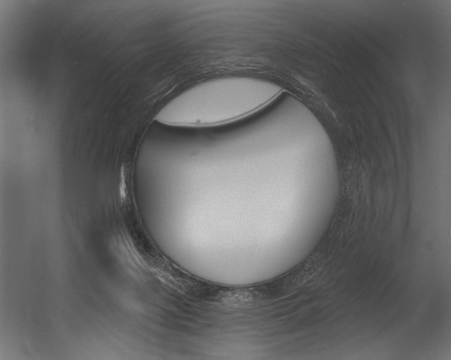X0000054380075200507290908