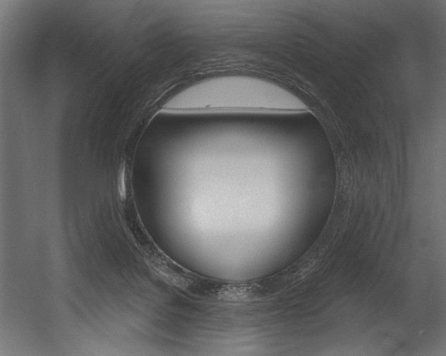 X0000054380076200507290908