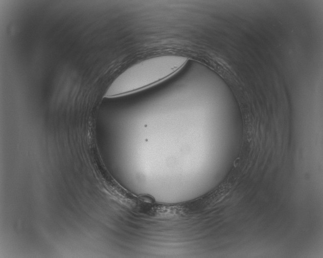 X0000054380077200507290908