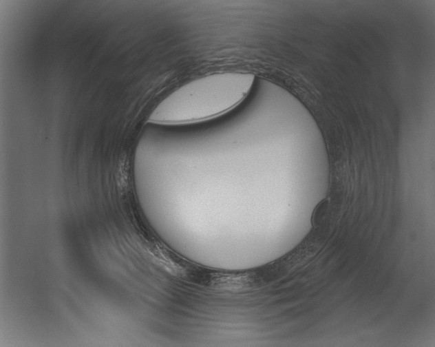 X0000054380081200507290908