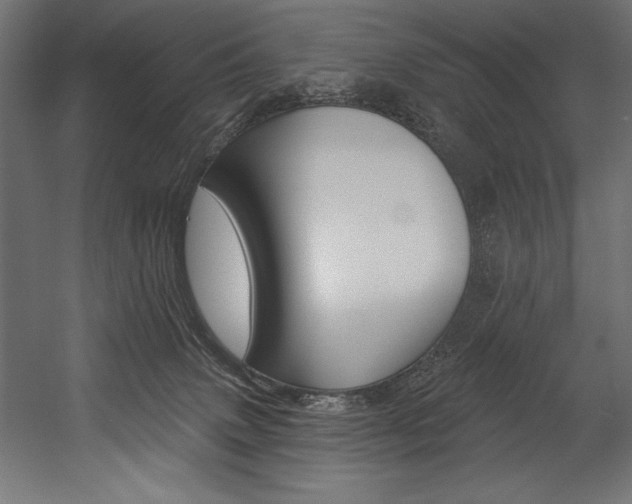 X0000054380083200507290908