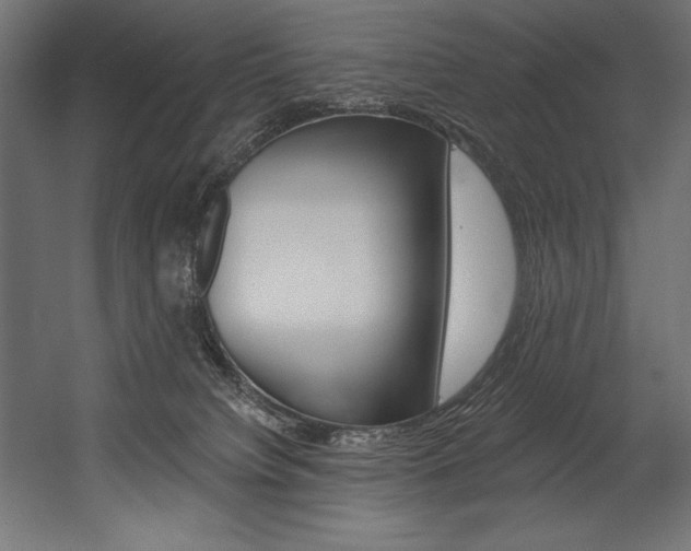 X0000054380084200507290908