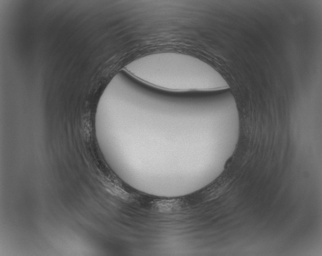 X0000054380085200507290908
