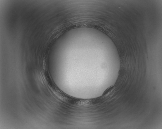 X0000054380086200507290908