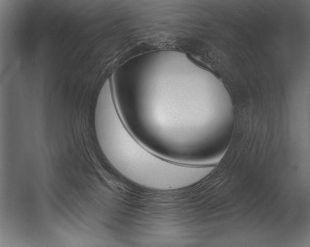X0000054380088200507290908